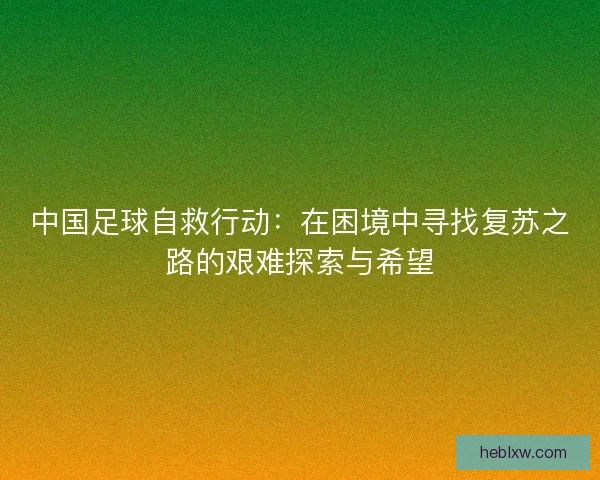 中国足球自救行动:在困境中寻找复苏之路的艰难探索与希望 中国足球自救行动:在困境中寻找复苏之路的艰难探索与希望