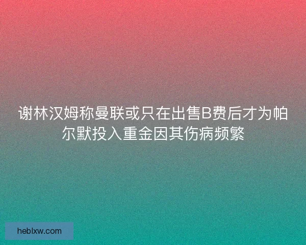谢林汉姆称曼联或只在出售B费后才为帕尔默投入重金因其伤病频繁 谢林汉姆称曼联或只在出售B费后才为帕尔默投入重金因其伤病频繁